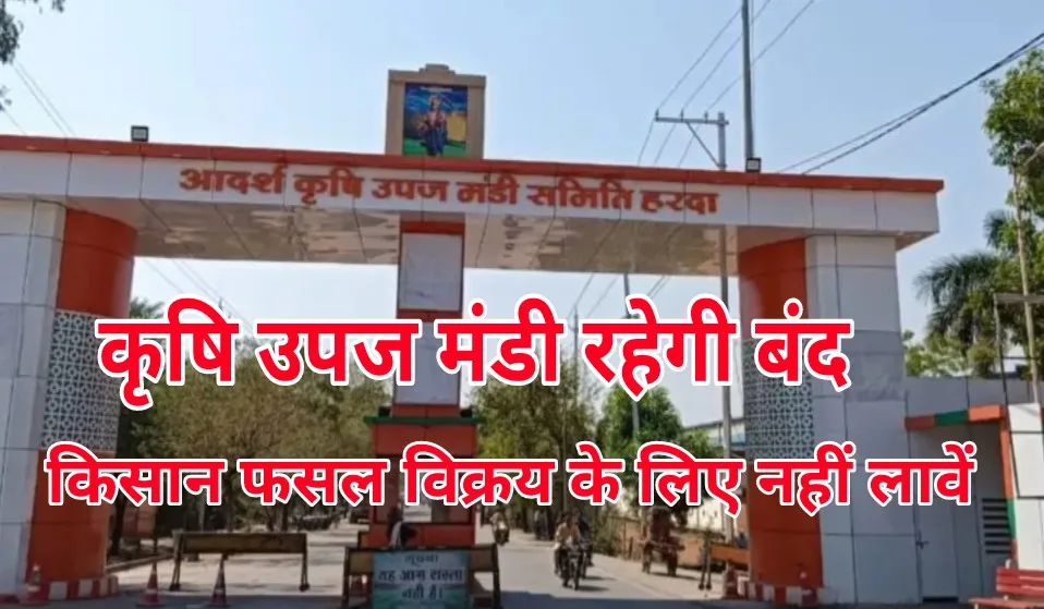 30 सितम्बर से 2 अक्टूबर तक मण्डी में नीलामी कार्य बंद रहेगा