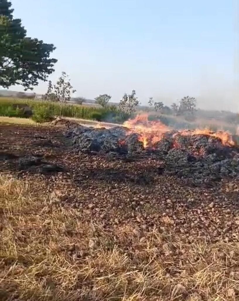 खेत में कटाई के बाद रखे गेहूं की फसल में लगी आग, दो एकड़ की फसल हुई जलकर राख 1 IMG 20260302 WA0290