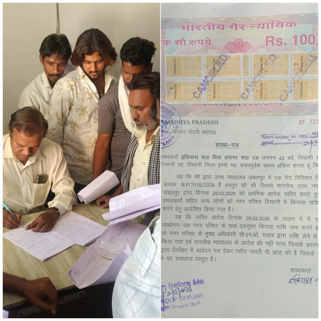 InCollage 20260303 103500827